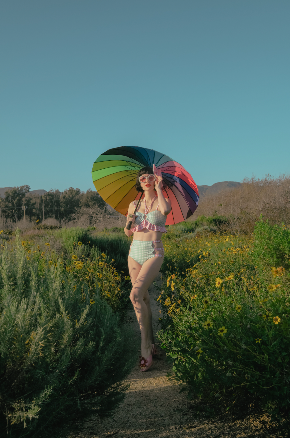 The Audrey Bikini Top